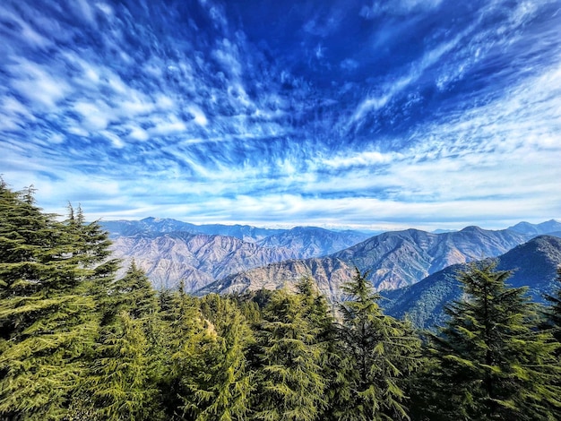 搜狗输入法下载简体版本指南2023最新 一